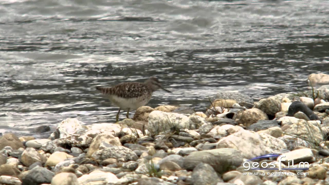 Auenlandschaften in S&uuml;dtirol - geosfilm HD