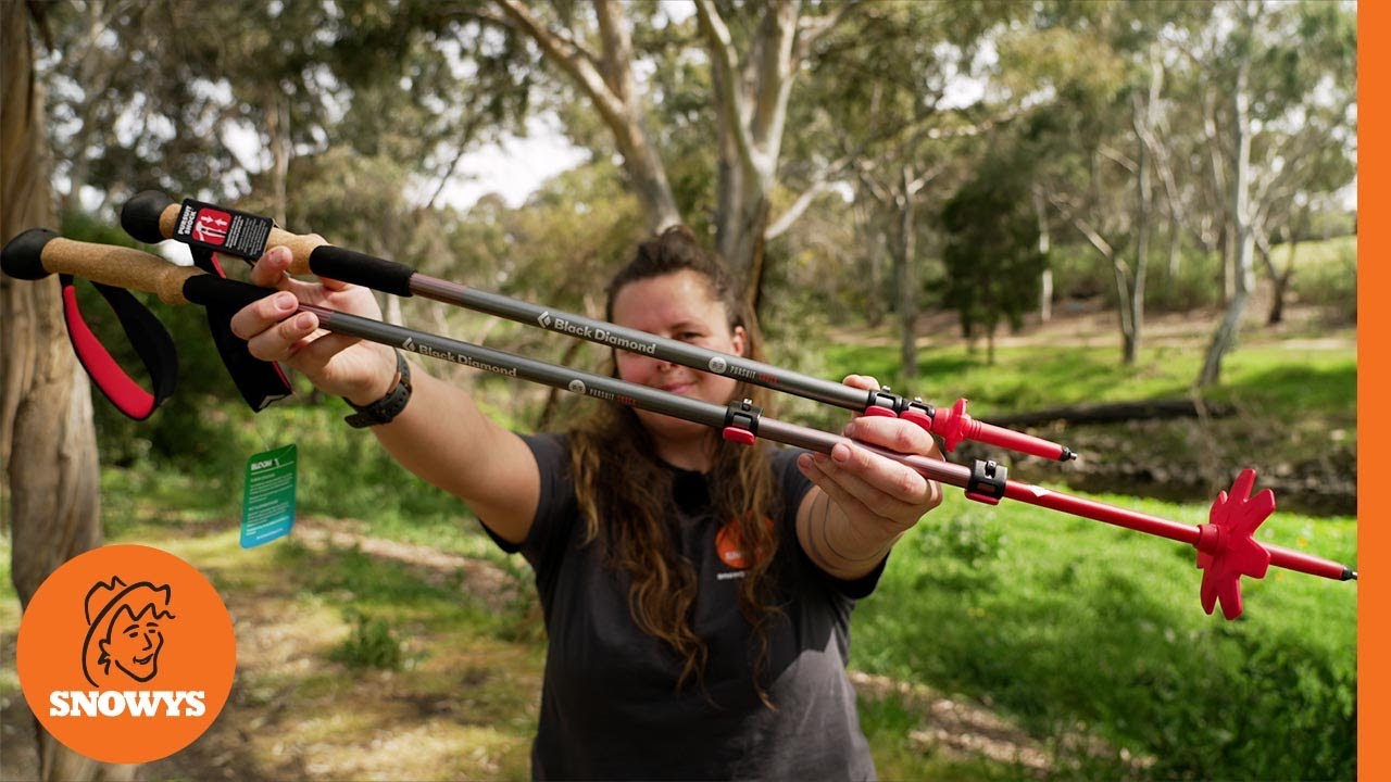 Black Diamond Pursuit Shock Trekking Poles