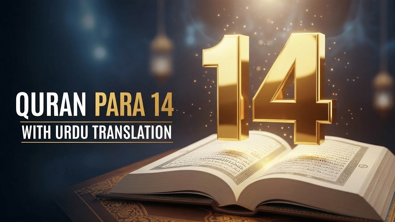 🌷 Quranic Light | Para 14 with Urdu Translation | Live Recitation