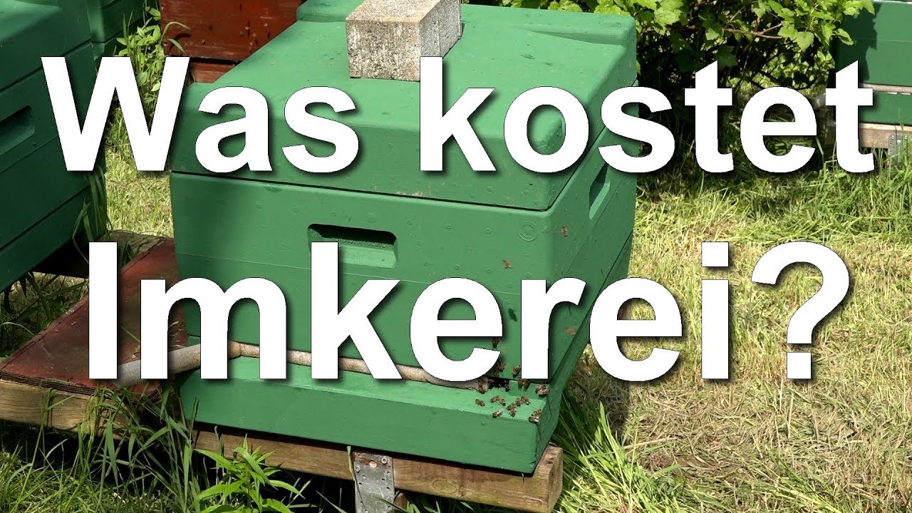 Was kostet der Einstieg in die Imkerei? Kosten f&uuml;r Neuimker - Kosten f&uuml;rs Imkern