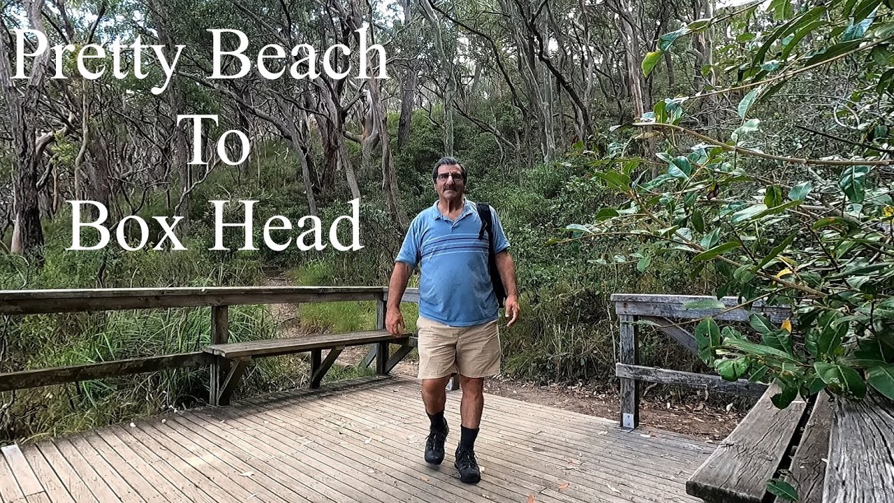 Walk & Talk - Episode 76 - Pretty Beach to Box Head