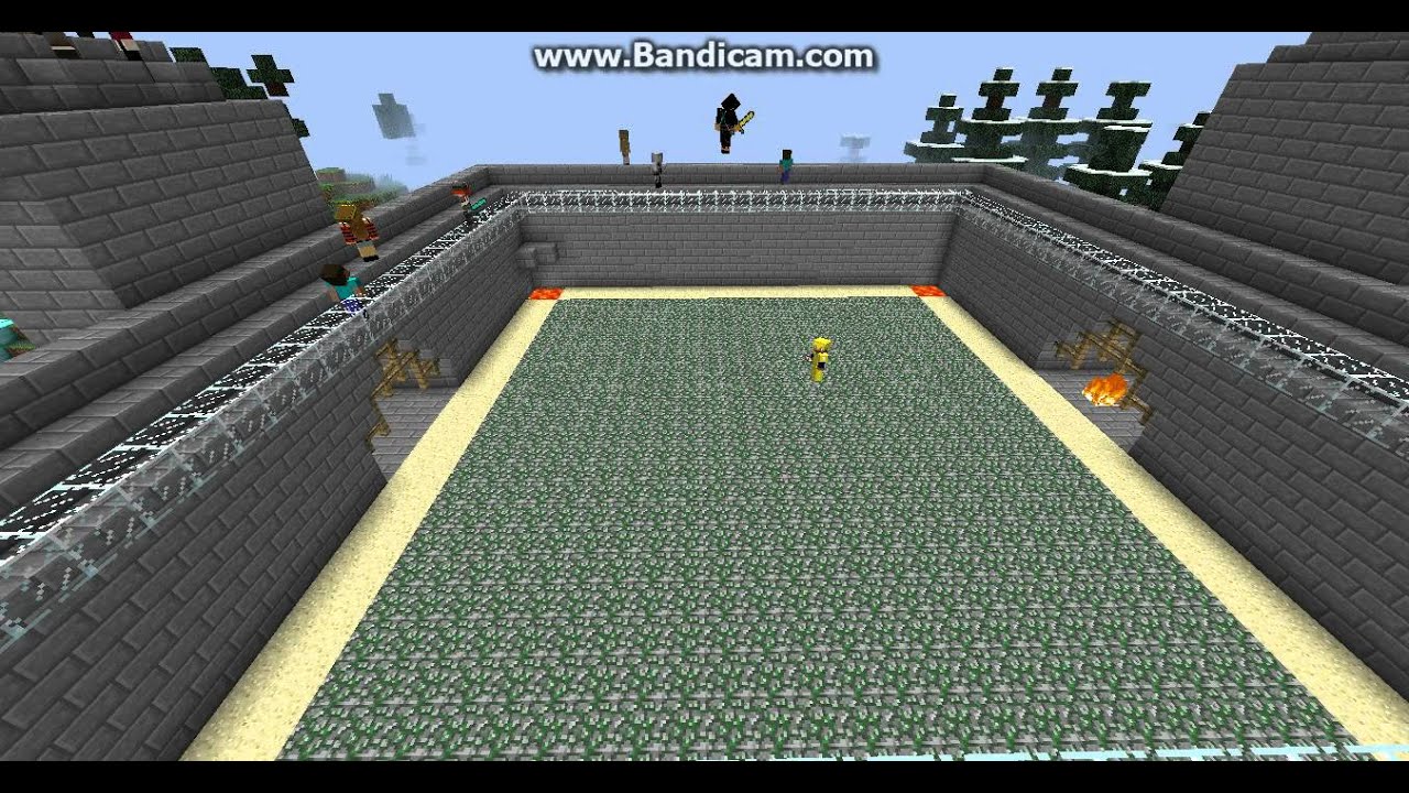 Minecraft-NH Server Arena [FUN]