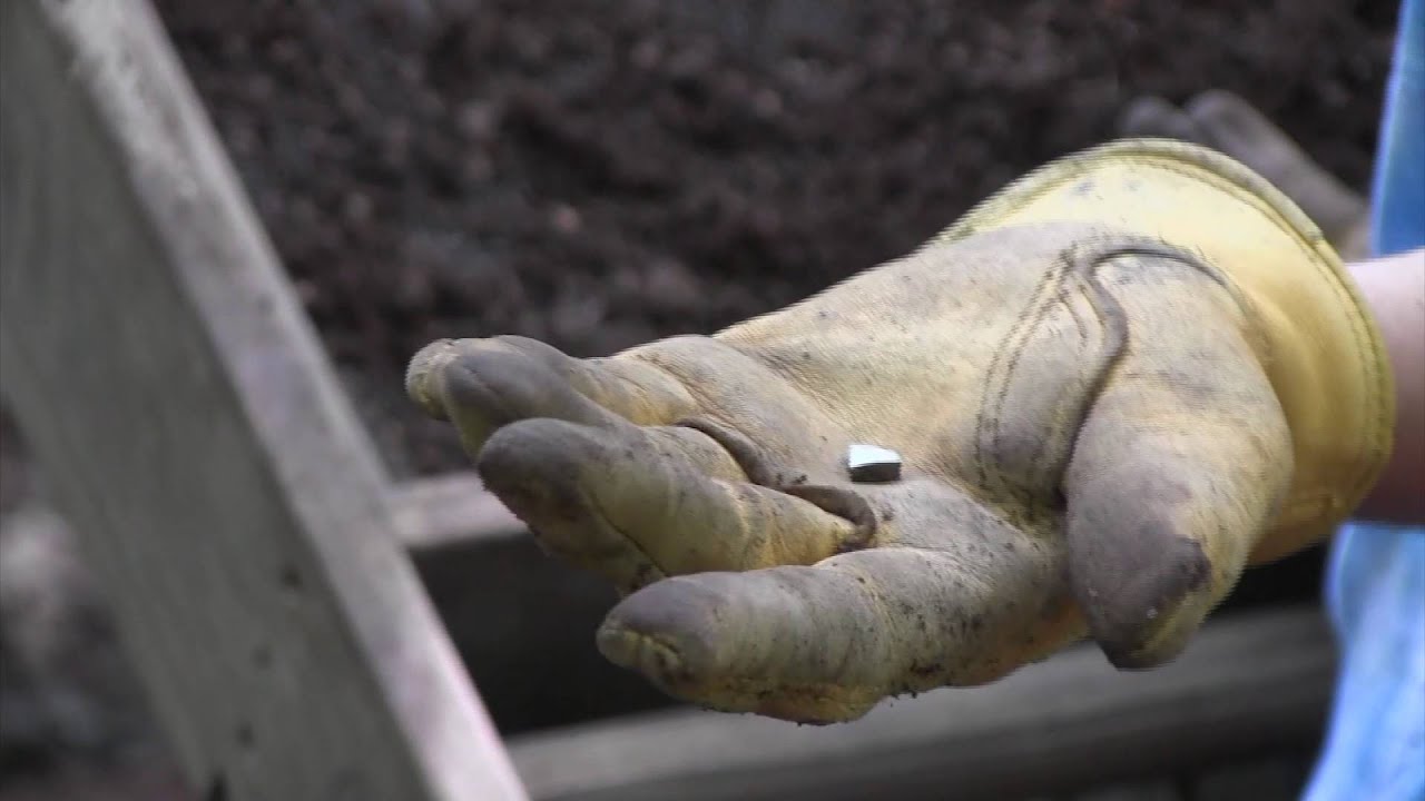 Eastern Pequot Archaeological Field School: A Community Partnership