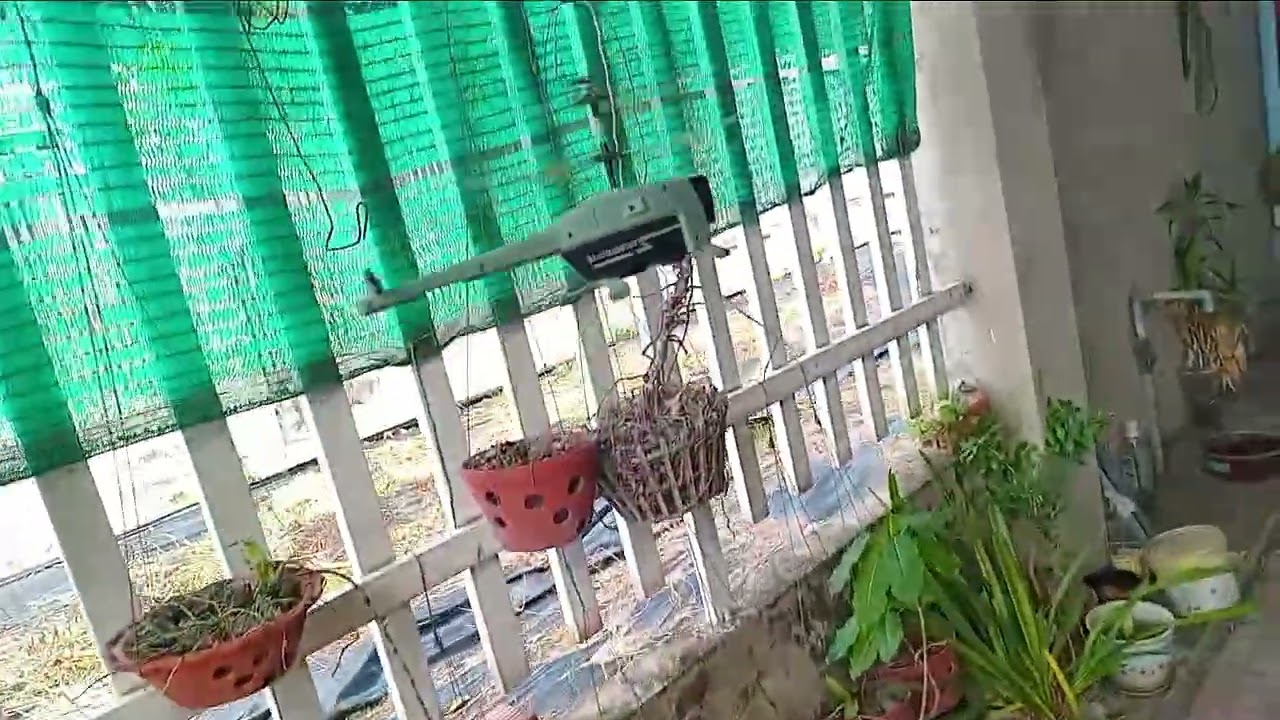 Hôm nay mình chơi máy bay trực thăng điều khiển 