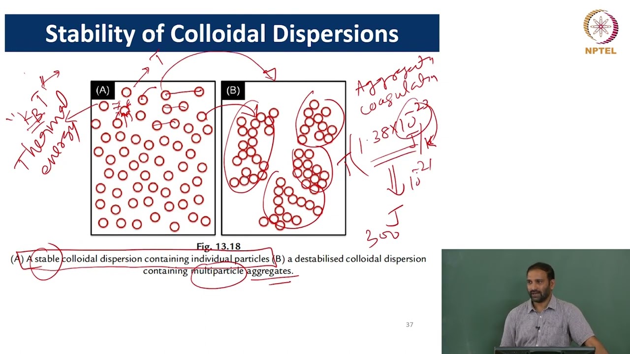 Stability in colloids #swayamprabha #ch33sp