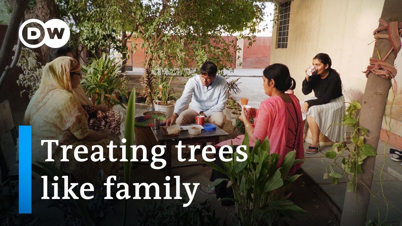 India: Trees as family members | Global Ideas