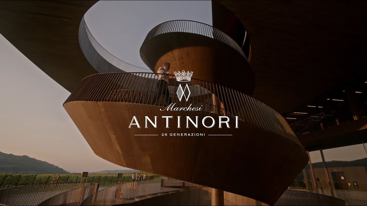 La vendemmia 2023 | 2023 Harvest - Renzo Cotarella