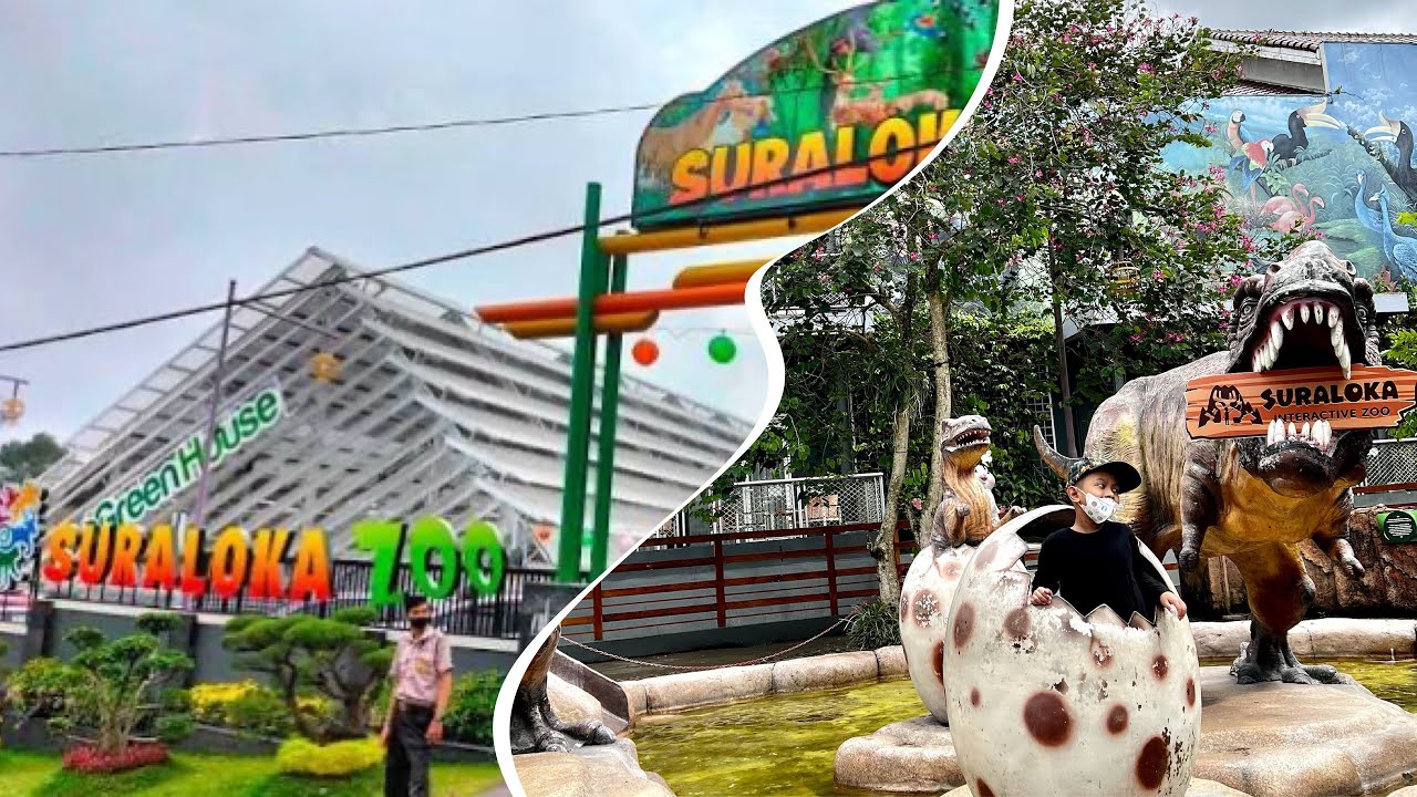 Suraloka zoo jogja - kebun binatang interaktif di jogja 