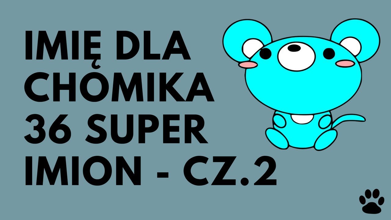 Imię dla Chomika cz. 2 - 36 Fajnych Propozycji | Imionowo
