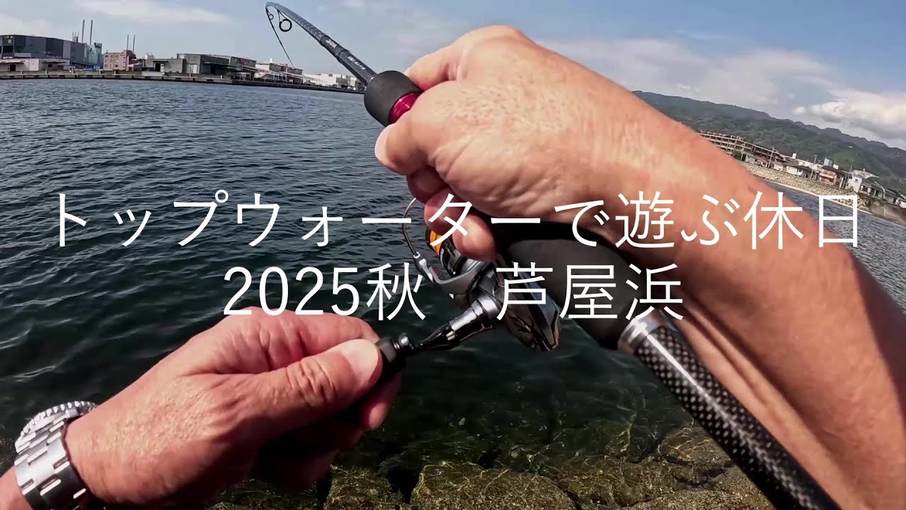 トップで遊ぶ休日　マイクロベイトを追い回す奴！
