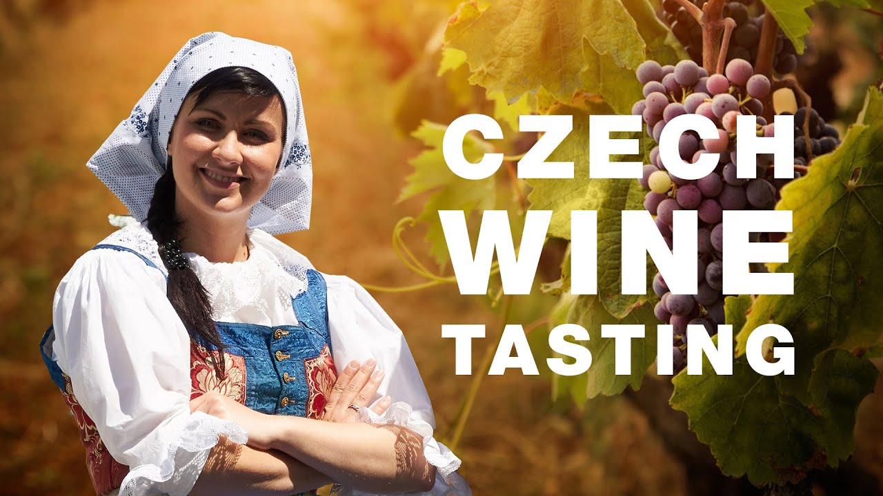 Czech wine tasting - South Moravia