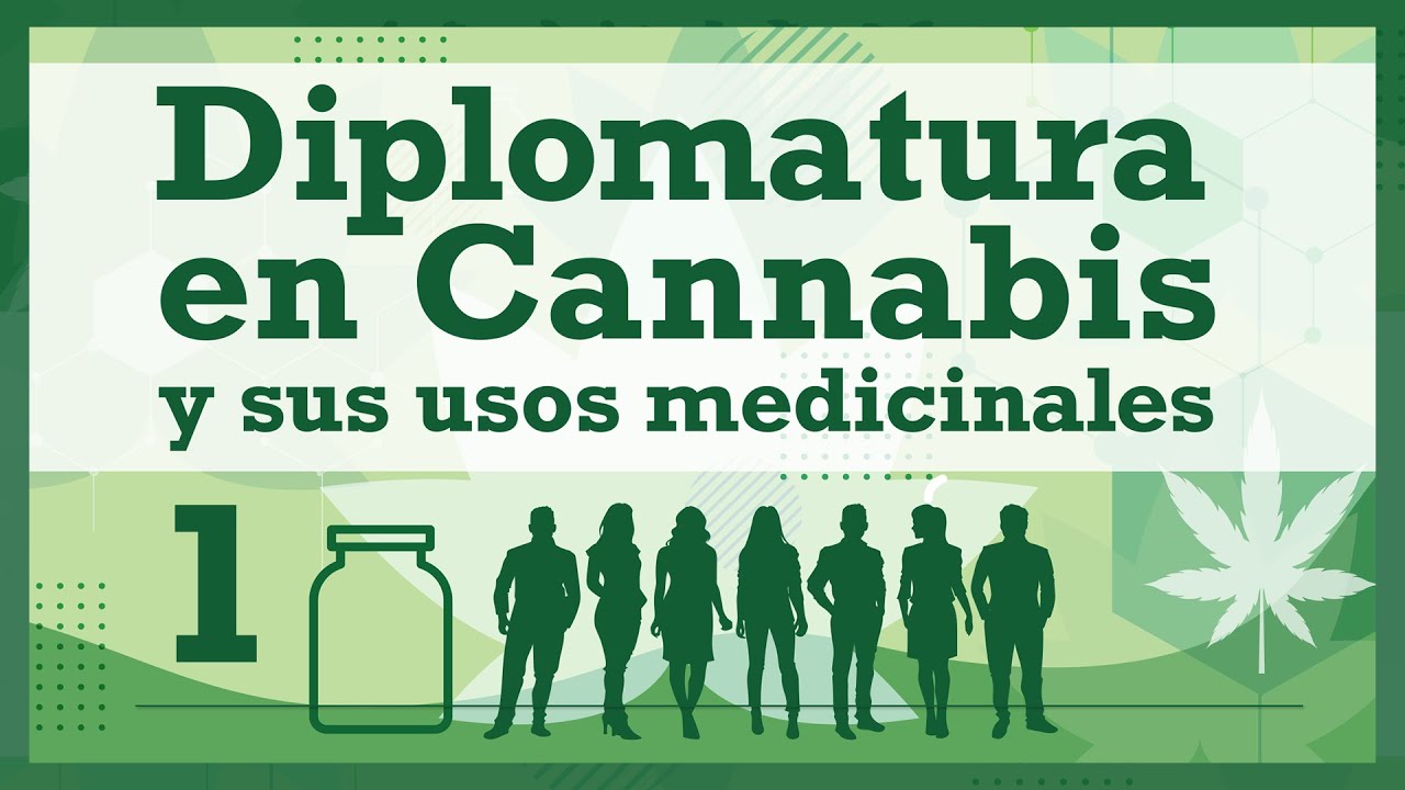 Clase 1 - Diplo Cannabis Medicinal