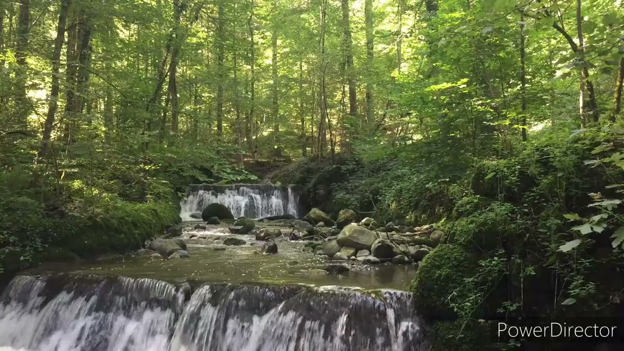 Chute d'eau, chants d'oiseaux 2 heures / Waterfall, singing birds  2 hours