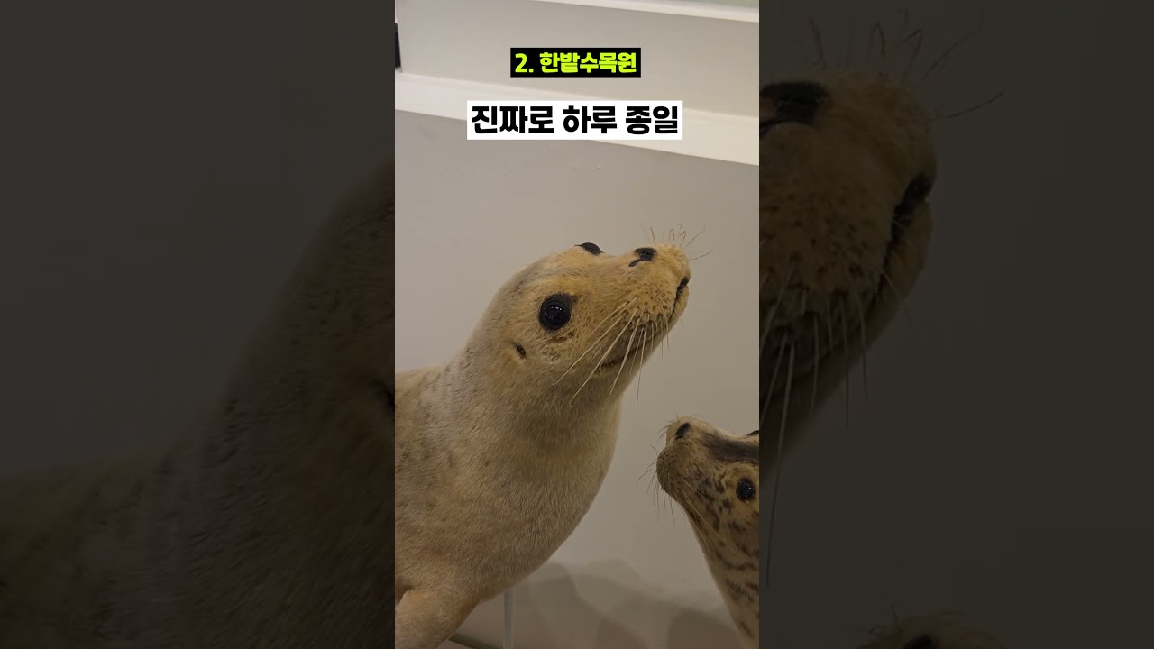대전사람도 인정한 대전 여행 코스