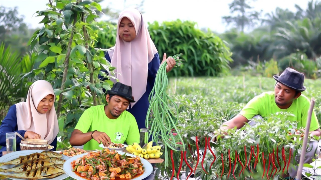 Terasa Nikmatnya kacang panjang Cumi & tahu dimasak gini bikin nagih,Panen cabe, hidup di desa 