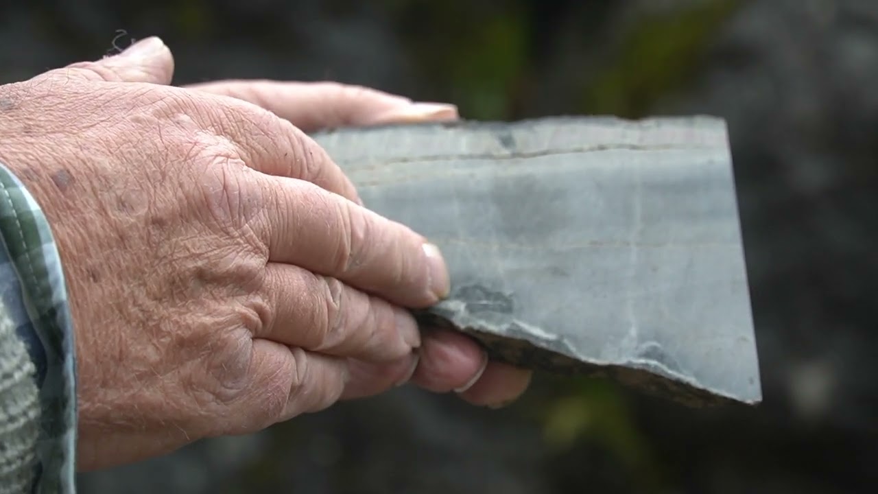 STATE GEOPARKS—STARK’S KNOB—Submarine pillow basalt—by Ed Landing and Alexander Bartholomew.