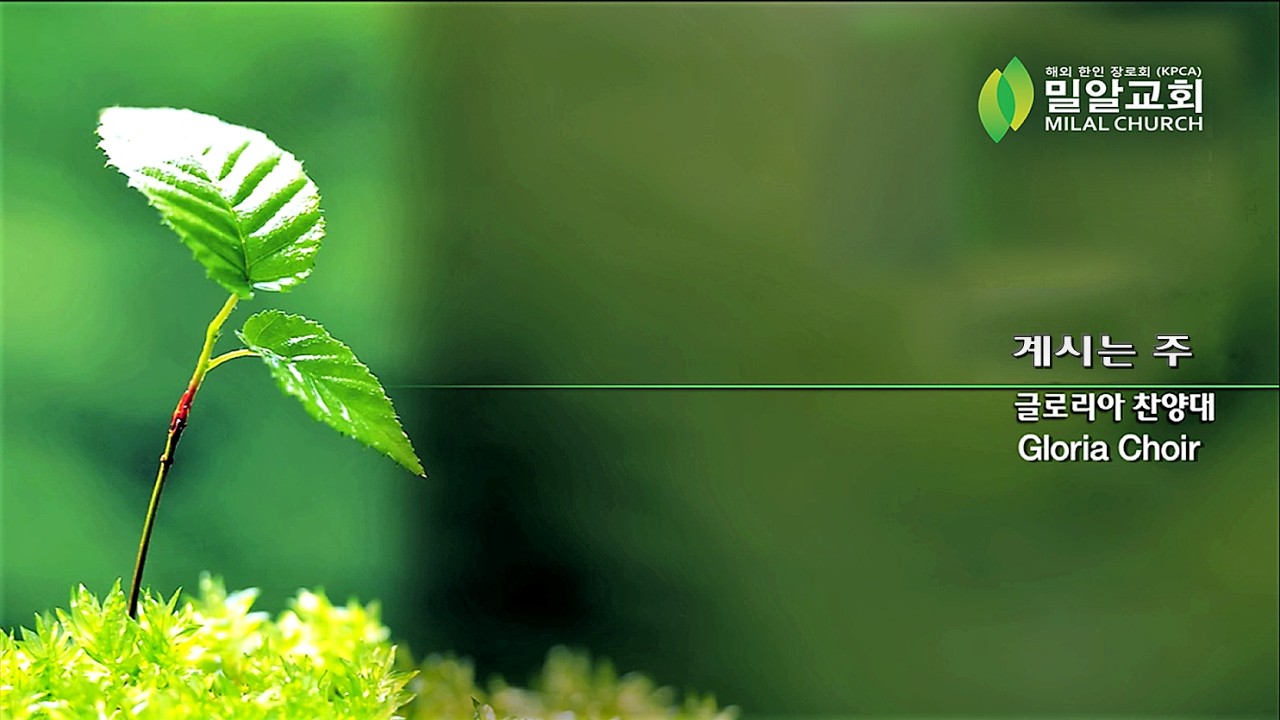 계시는 주 (홍지열) | 글로리아찬양대 | 밀알교회
