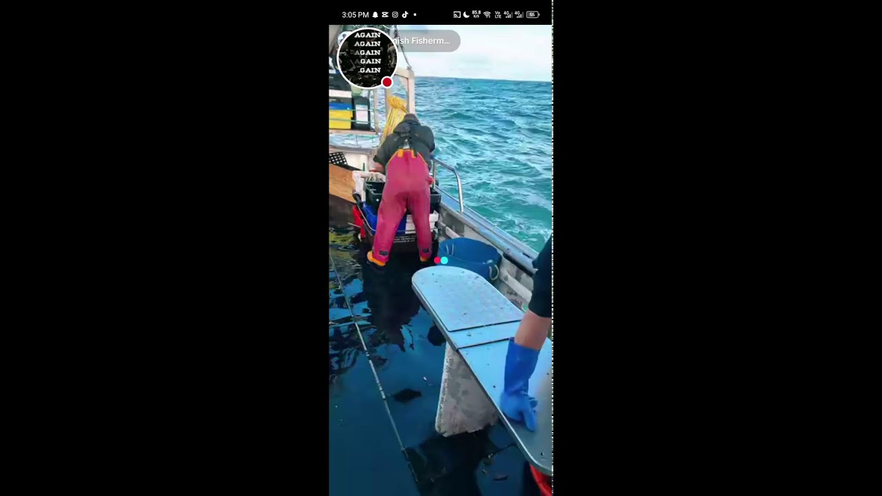 !Today's target: 200 fish!!🐬Sea fishing 🎣🎣