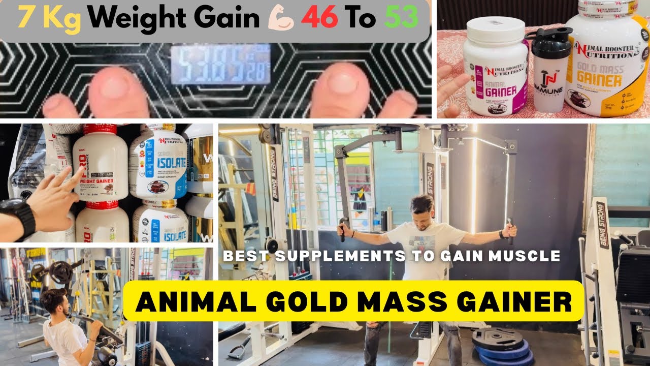 Animal Gold Mass Gainer | Best Supplements To Gain Muscle | Best Mass Gainer 2025 | Jn_Vlog | Ep.2 |