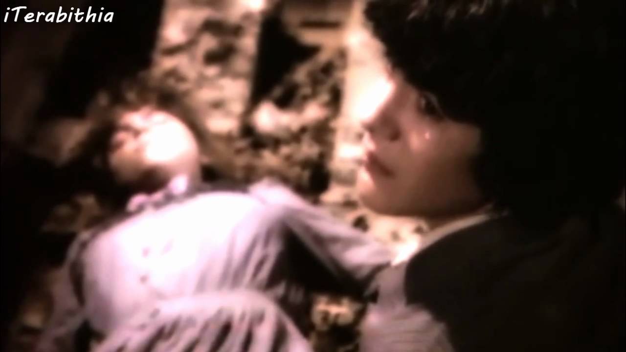 Albert-Sylvia-Light Up