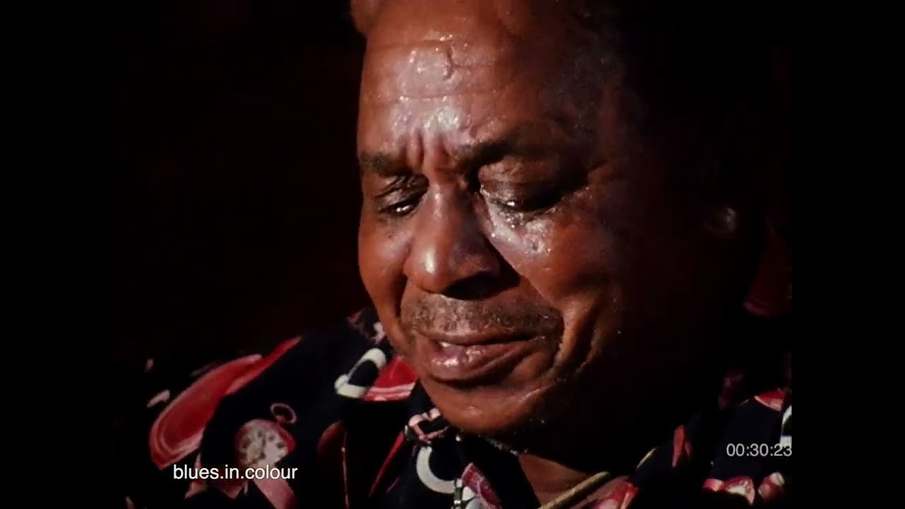 Big Joe Williams - Live 1977