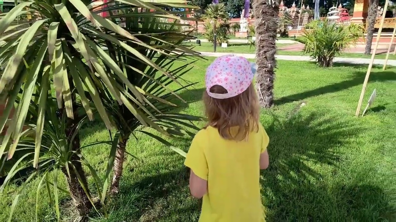 Przyjaciele Dobrego Słowa - Mój przyjacielu nie odchodź 