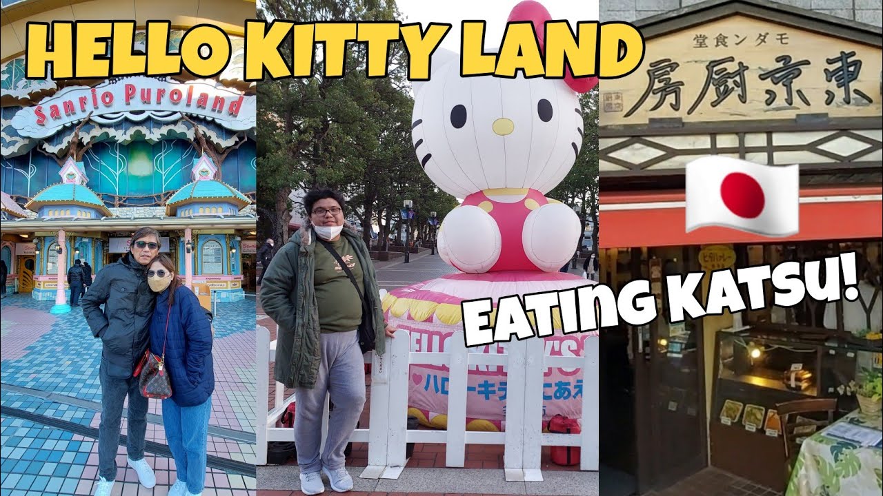 LAST DAY IN JAPAN | EATING KATSU | EXPLORING TAMA NEW TOWN IN TOKYO | JR Vlogs#44