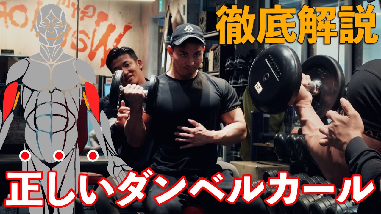 腕太くしたいなら「必ず」このダンベルカールをやってください。