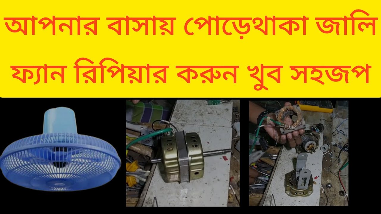 জালি ফ্যান রিপিয়া।