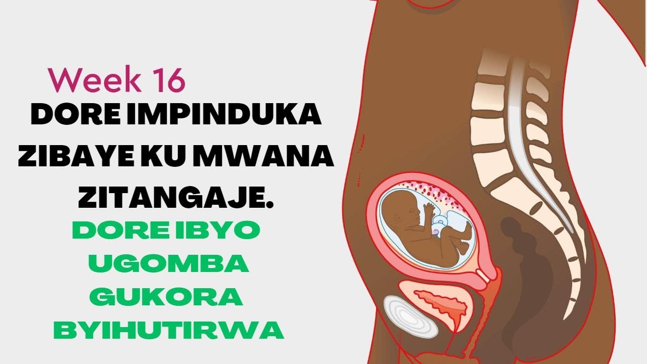 GUTWITA ICYUMWERU 16: DORE IMPINDUKA ZITANGAJE ZIBAYE KU MWANA || MENYA IBYO UGOMBA GUKORA