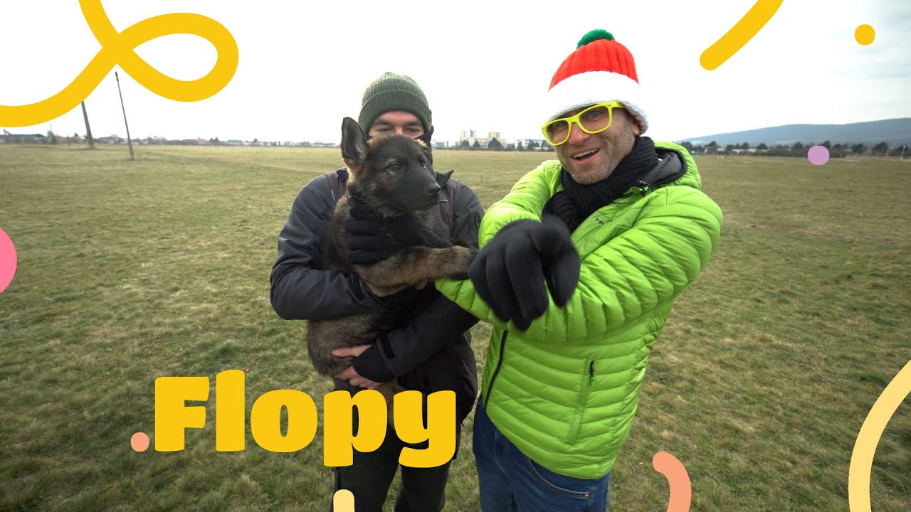 Flopy - Policajné psíky