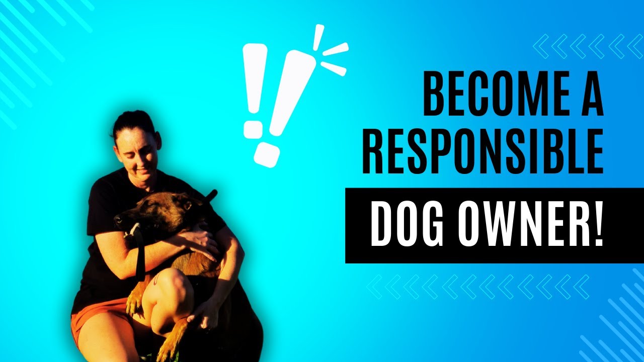 Insider Tips: Being a Responsible Dog Owner (From a Breeder's View)