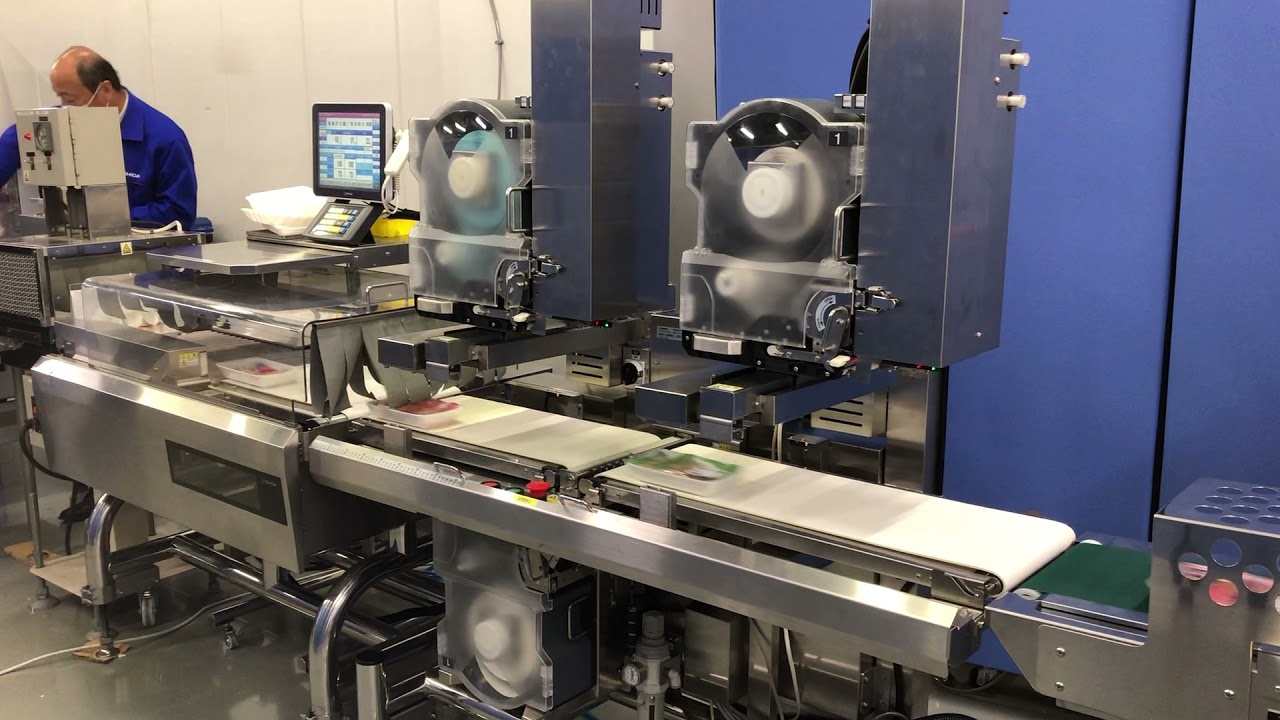 FDP AI labeling long