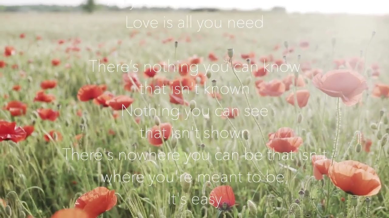 All you need is love (Lyrics) | The Beatles (Ilona Schuster Cover)