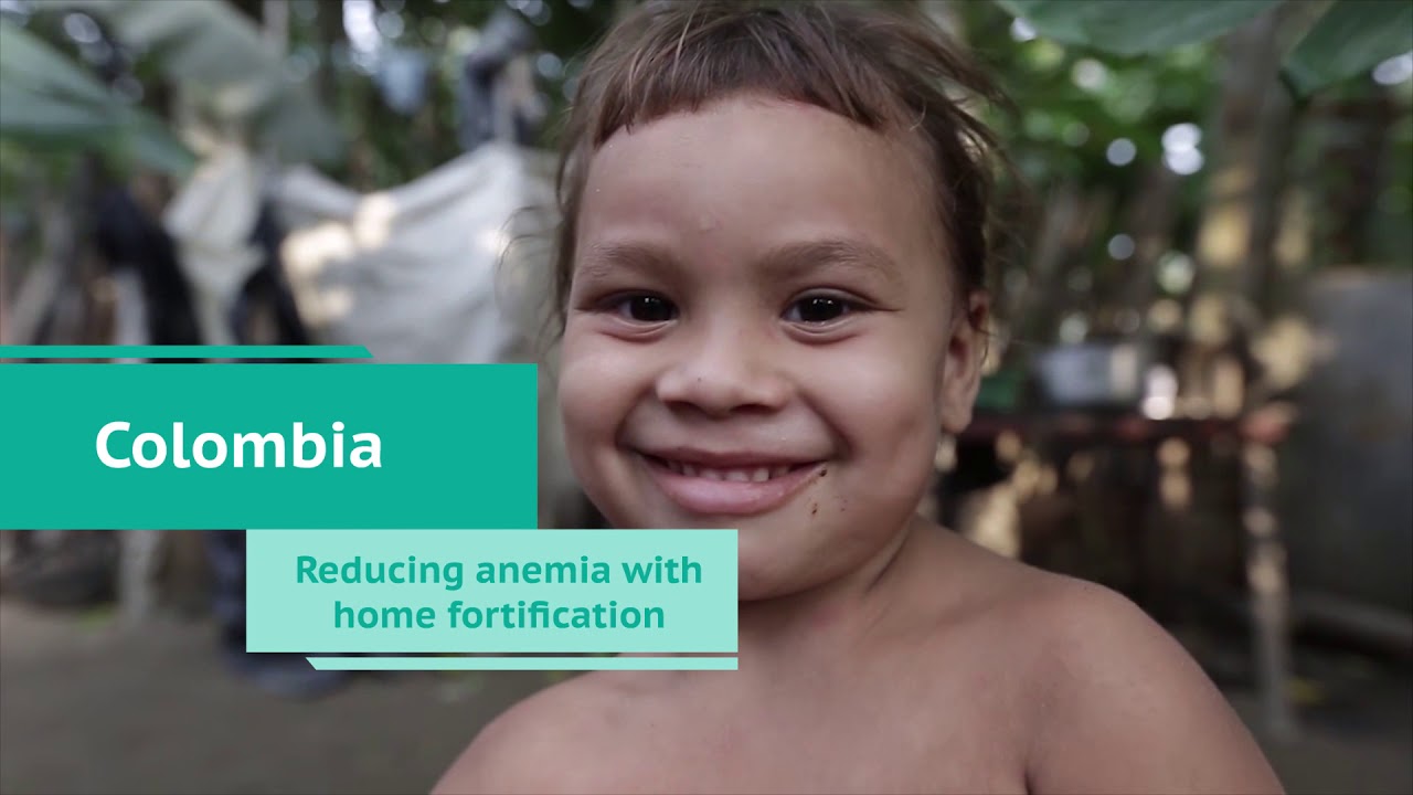 Achieving Zero Hunger in Latin America (Short)