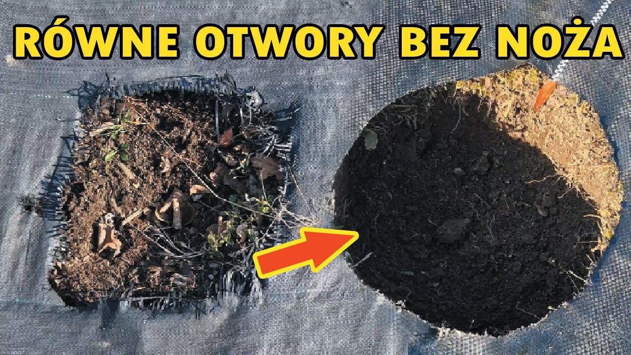 Jak Zrobić Szybko Równe Otwory w Agrowłókninie lub Agrotkaninie bez Noża?