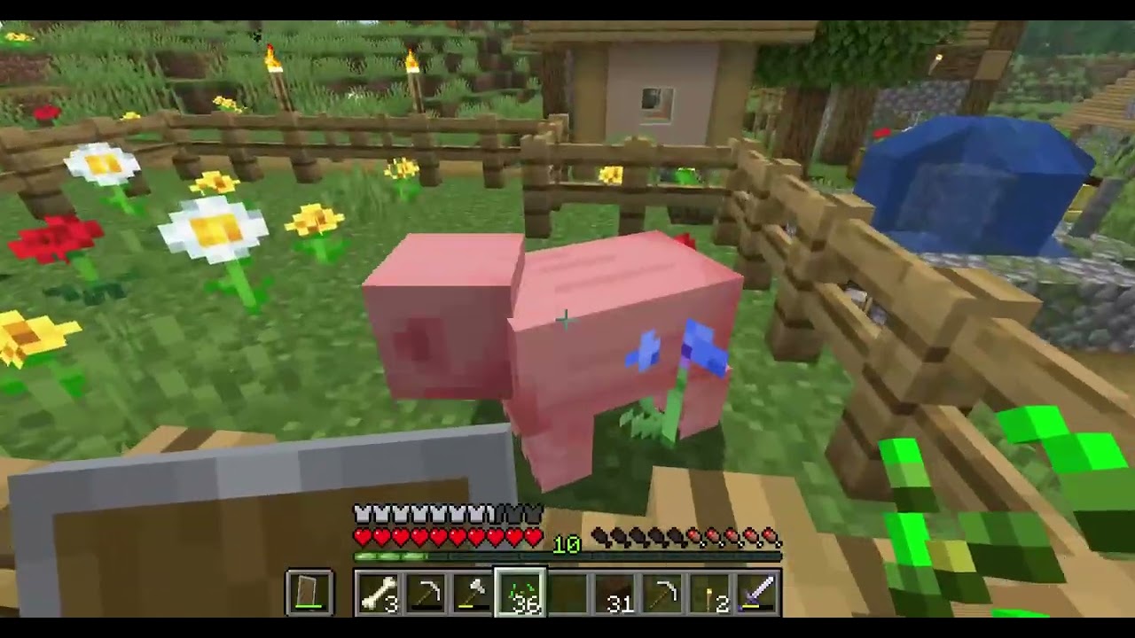 Désolé si cette épisode est moue. (Survie EP 17)