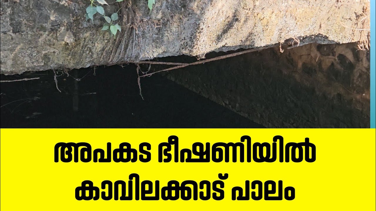 കാവിലക്കാട് പാലം അതീവ അപകടാവസ്ഥയിൽ തുടരുന്നു