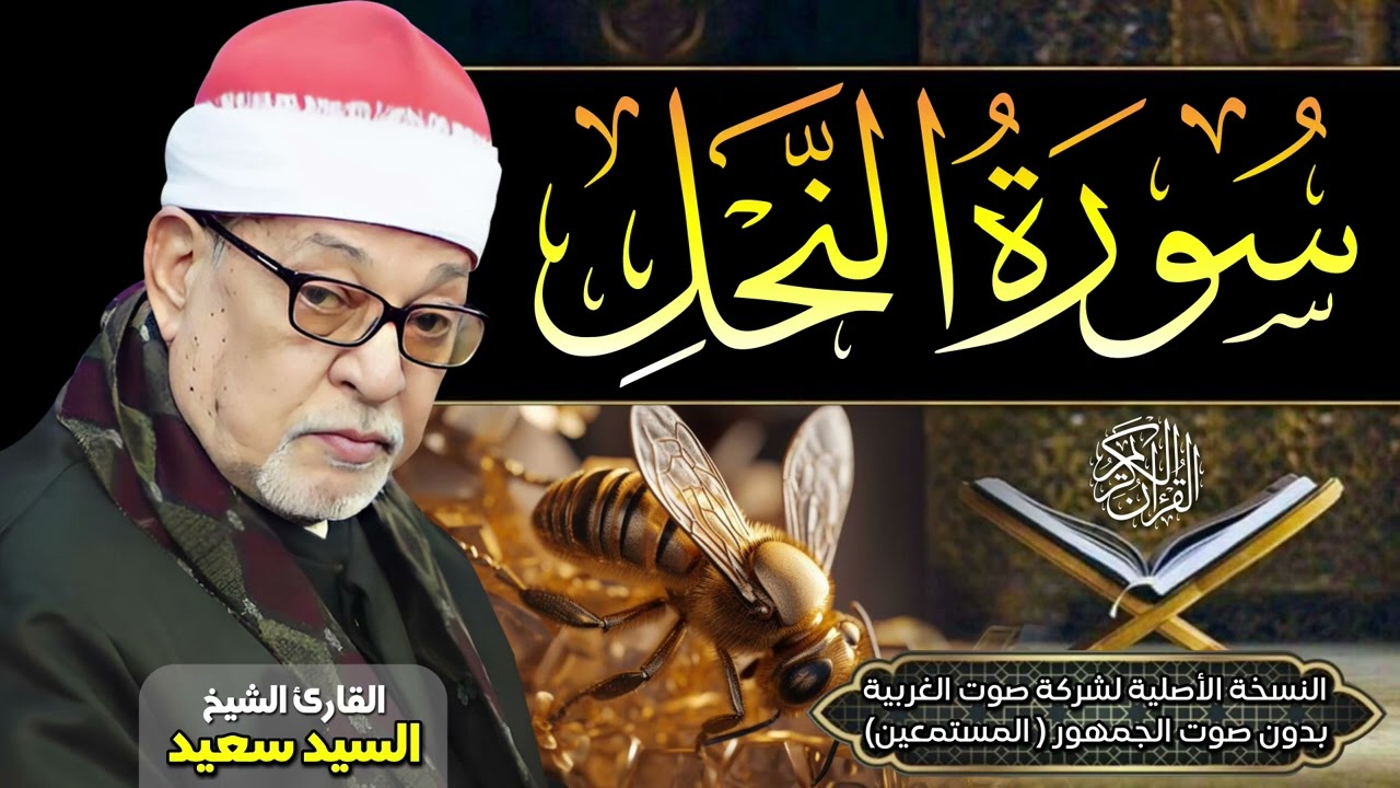 الشيخ السيد سعيد 🎙️ سورة النحل ✨ بدون صوت الجمهور🎧 جودة عالية ᴴᴰ