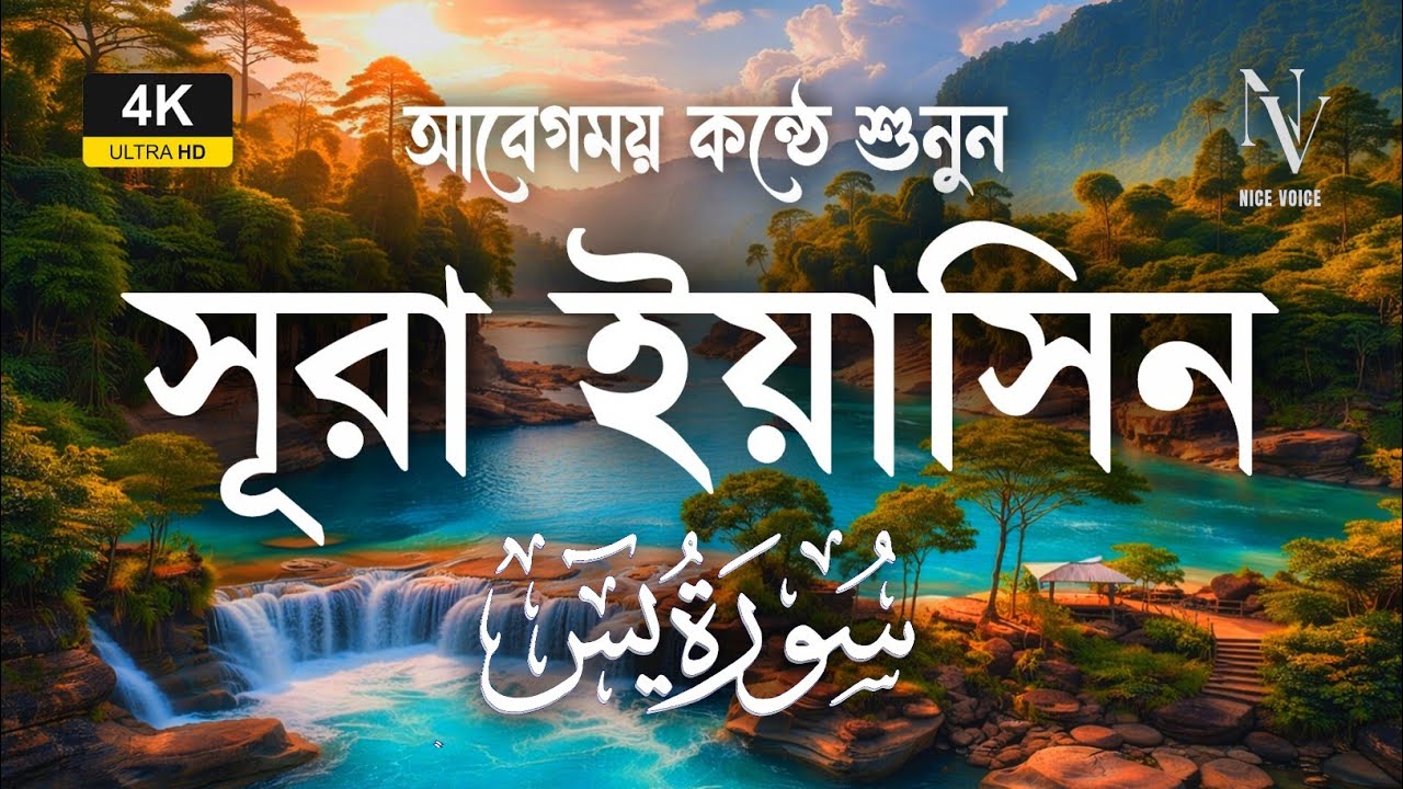 গুনাহ মাফের আশায় শুনুন সূরা ইয়াসিন 🤲 | Heart Touching Quran | Alaa Aqel | Nice Voice 