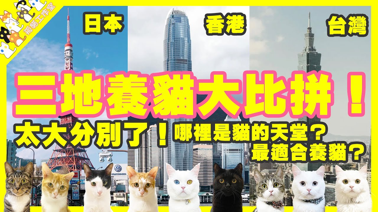 【孤貓工作室】三地養貓大比拼！太大分別了！日本、香港、台灣哪裡才是貓的天堂？最適合養貓？