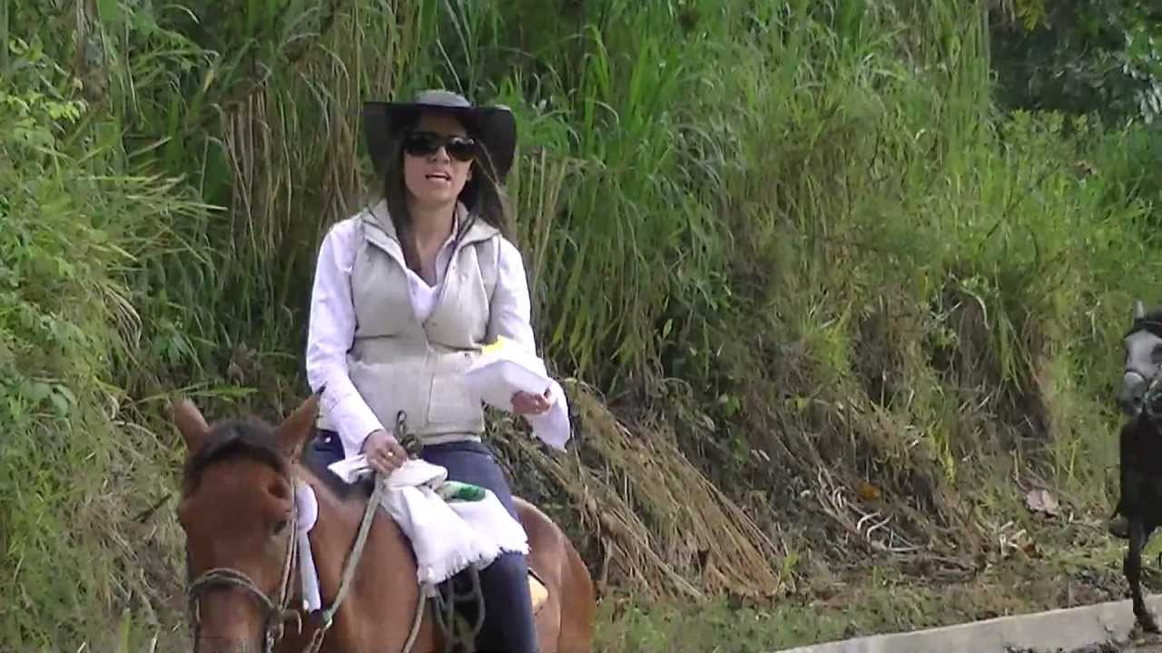 horse riding Cordoba. tourism Quindio Colombia,beautiful landscapes and women 33.m2ts