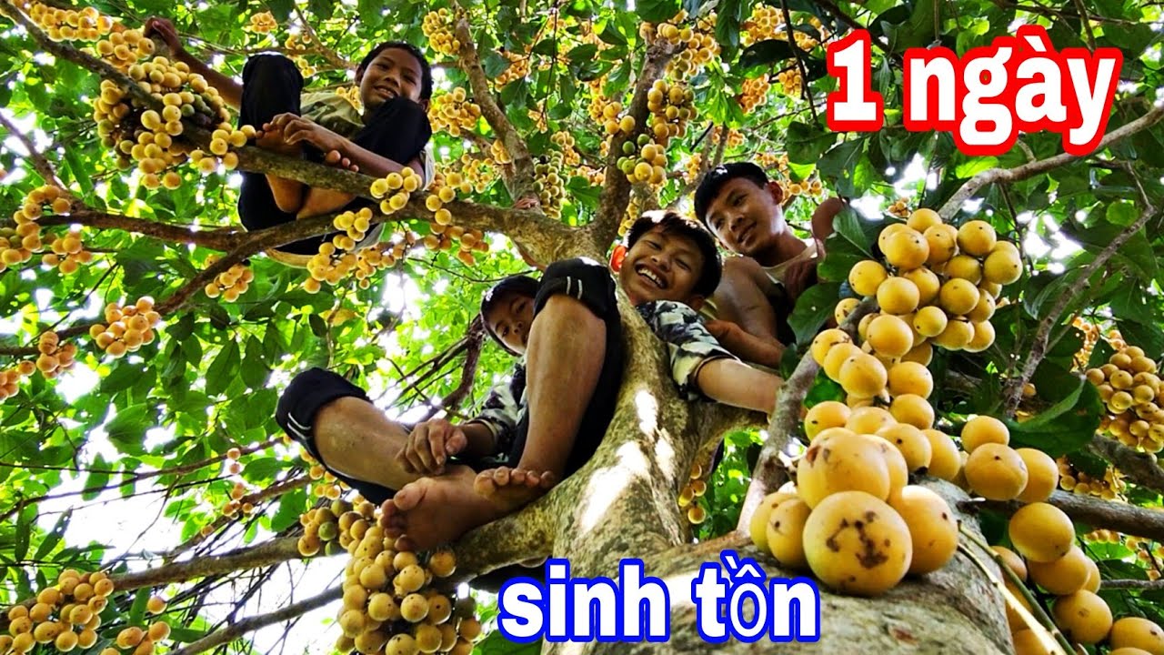1 Ngày Sinh Tồn Trong Rừng Cùng Team & Chỉ Được Ăn Trái Cây Rừng