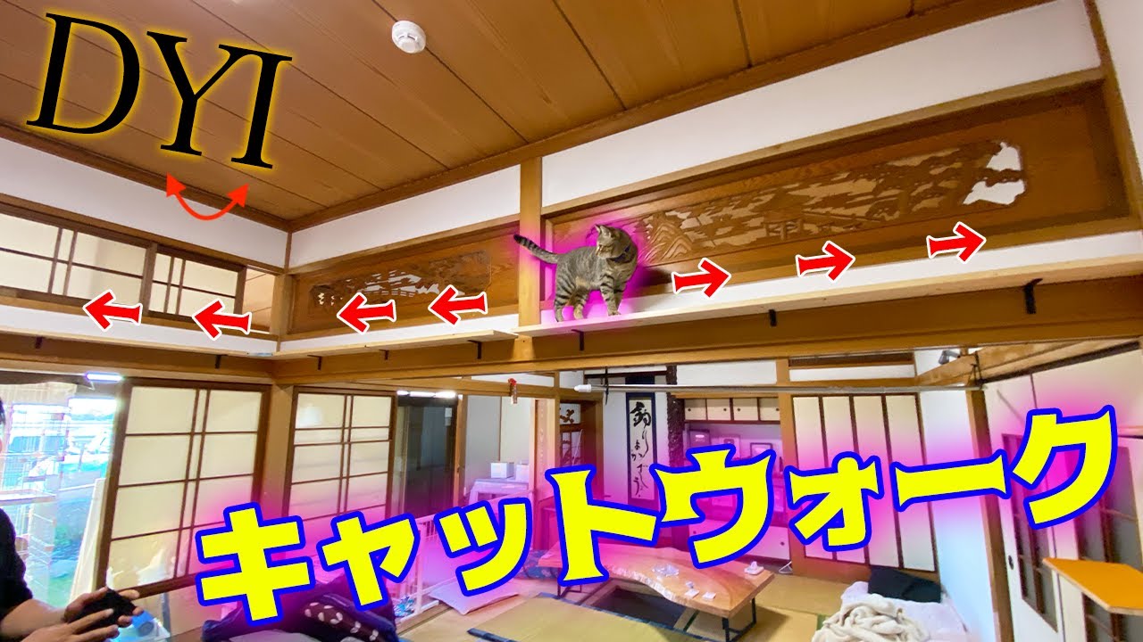 これぞYoutuberの家！猫が遊べるように家を改造してみた！