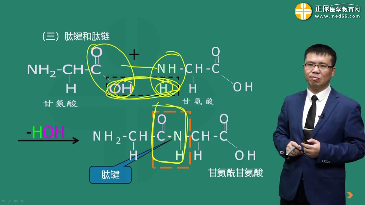 0101第01讲 蛋白质结构和功能
