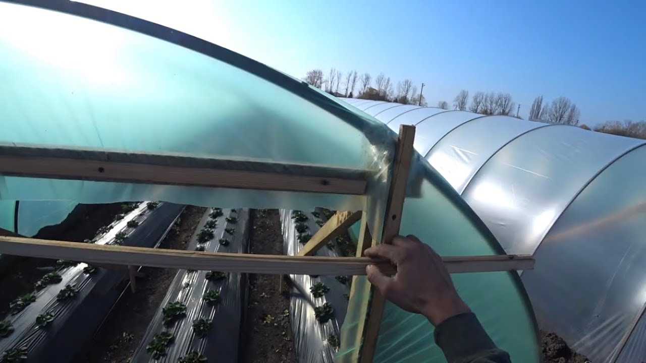 Ставим двери на теплицы #клубника #Ролетынатеплицу #теплица