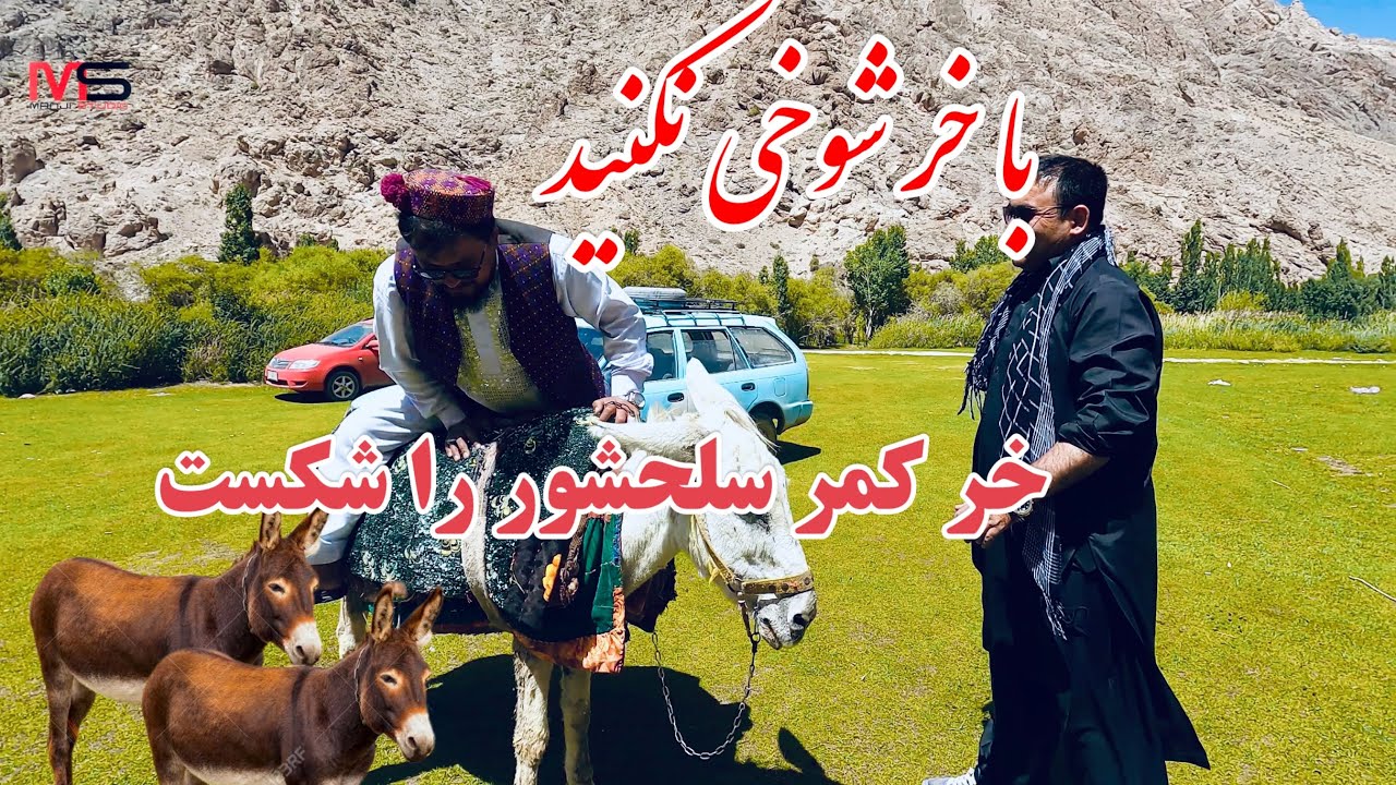 بد ترین اتفاق، عاقبت شوخی با خر🤪 سلحشور را از پای در آورد