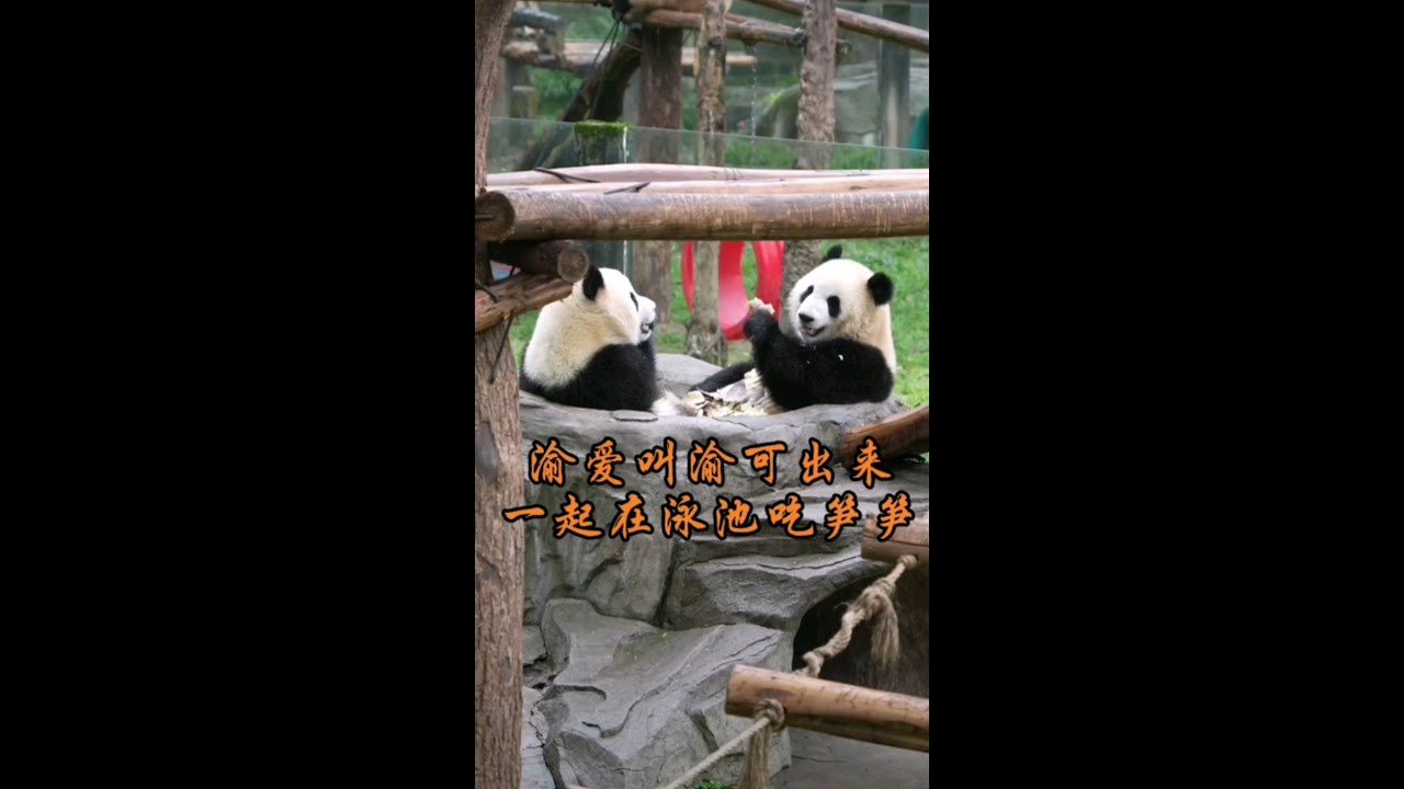爱姐对哥哥真好，有什么好吃的都叫哥哥出来一起吃。