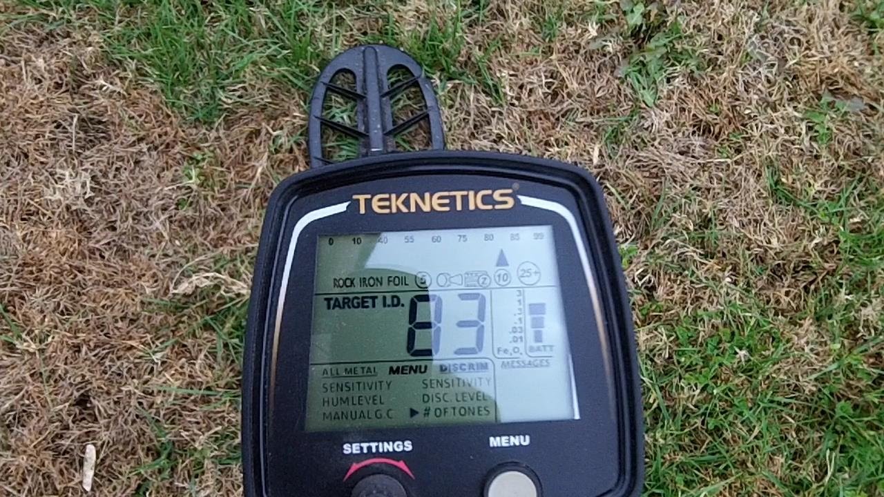 Metal detecting with a T2 classic
