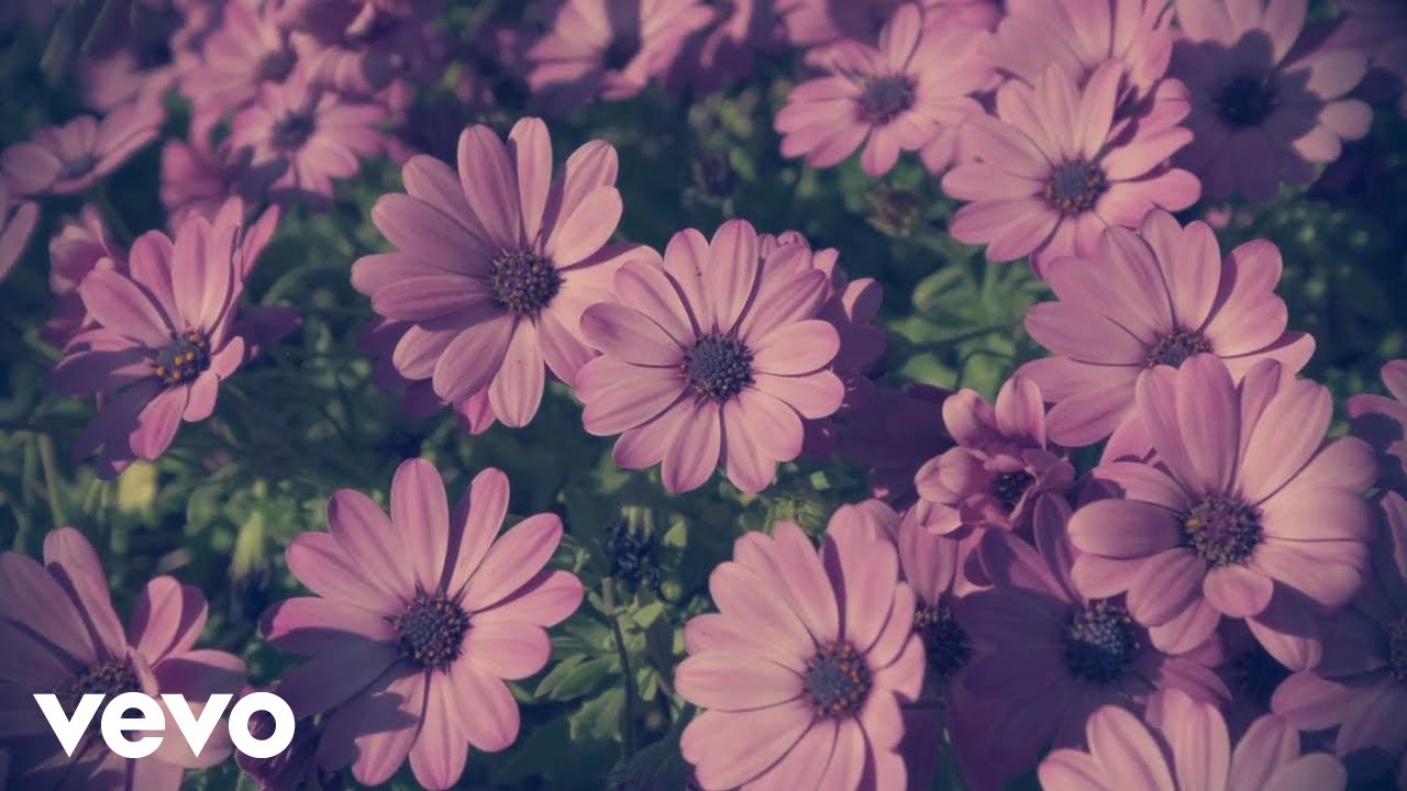 Milo Hrnić - Sve Za Ljubav